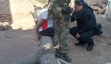 operativo