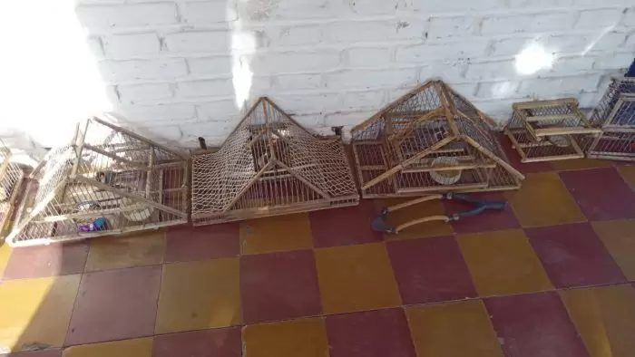 detenidos
