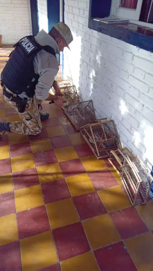 detenidos