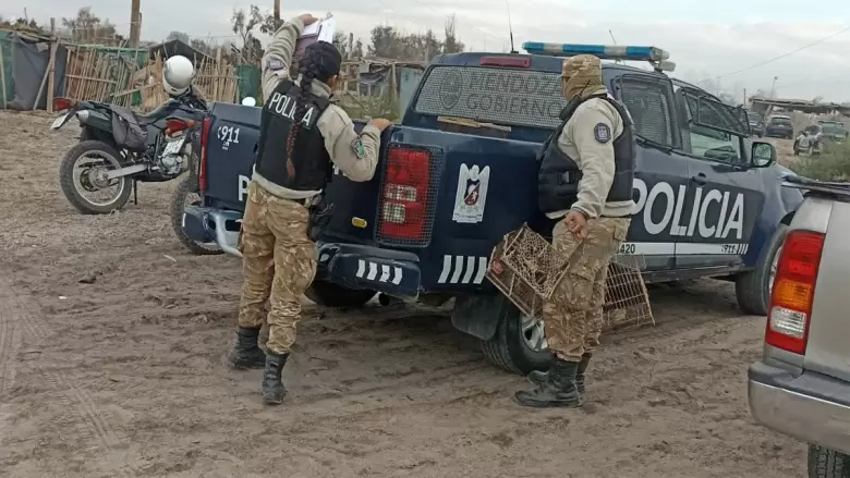 policia rural