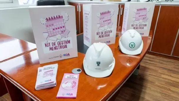 Programa menstruar