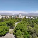 Qui�n puede podar el arbolado p�blico en Mendoza: reglas y permisos obligatorios