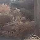 (Video) Baj� el Zonda: fuertes r�fagas en Lavalle y Tupungato