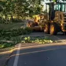 Los da�os que dej� el fuerte Zonda en Mendoza: accidentes, cables cortados y hasta incendios