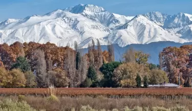 mendoza
