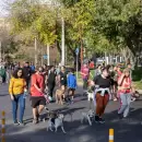 Más de 2.000 perros y sus familias disfrutaron de la Maratón Animal 2025 en Ciudad