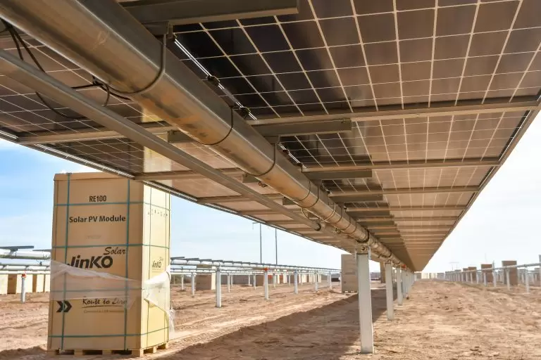 parque solar El Quemado
