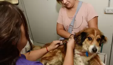 vacunacion