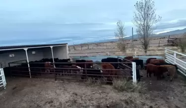 Polic�a rural