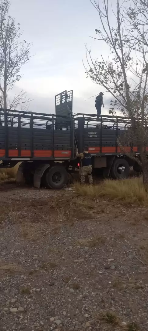 Policía rural