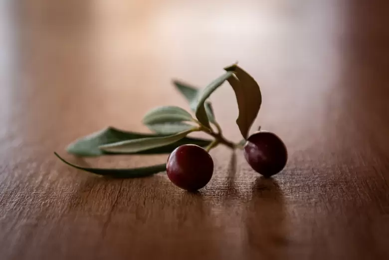 aceite de oliva
