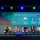 Mendoza present� su modelo de miner�a sostenible ante 16 pa�ses en Arminera 2025