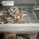 Decomisaron m�s de 260 kilos de carne en mal estado en Guaymall�n y Rivadavia