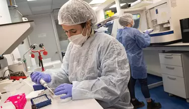 banco de datos geneticos