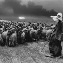Cinco libros esenciales para conocer a Sebasti�o Salgado