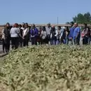 La Municipalidad de Guaymall�n lanz� un bus tour para visitar espacios productivos y gastron�micos