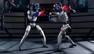 peleas de robots