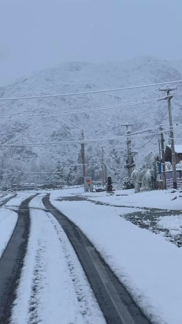 Nevadas