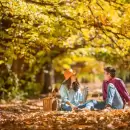 Feriados en mayo: qué días son y qué fines de semana largos habrá
