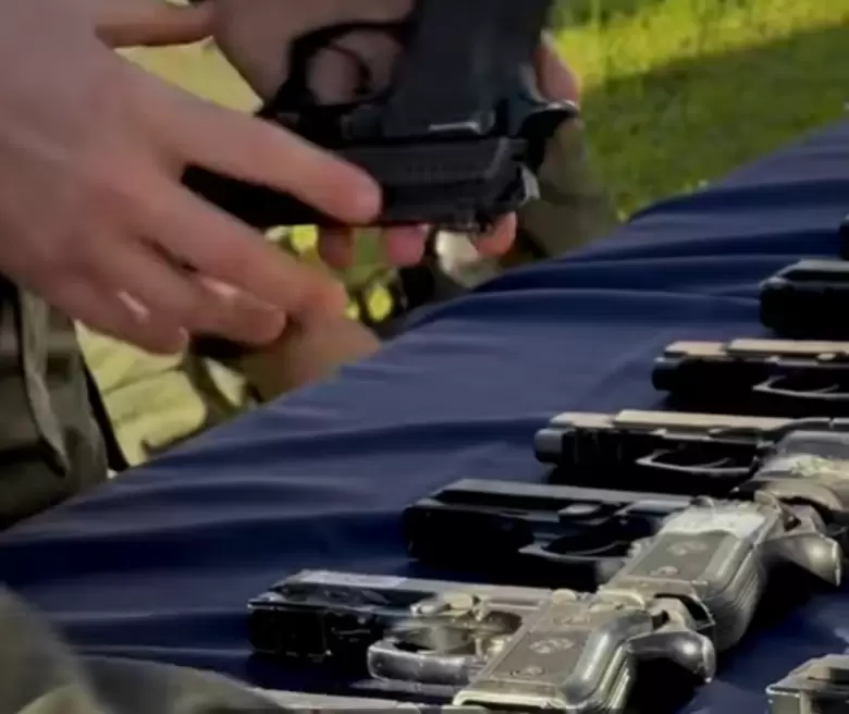 Armas recuperadas (redes)
