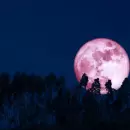 Luna de Fresa y otras fases lunares en junio 2025: fechas para observar desde Argentina