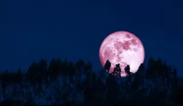 luna de fresa