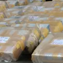 Un informe reveló que los decomisos de cocaína crecieron más de 500% en Argentina desde 2024