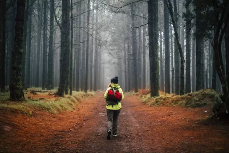 ba�o de bosque