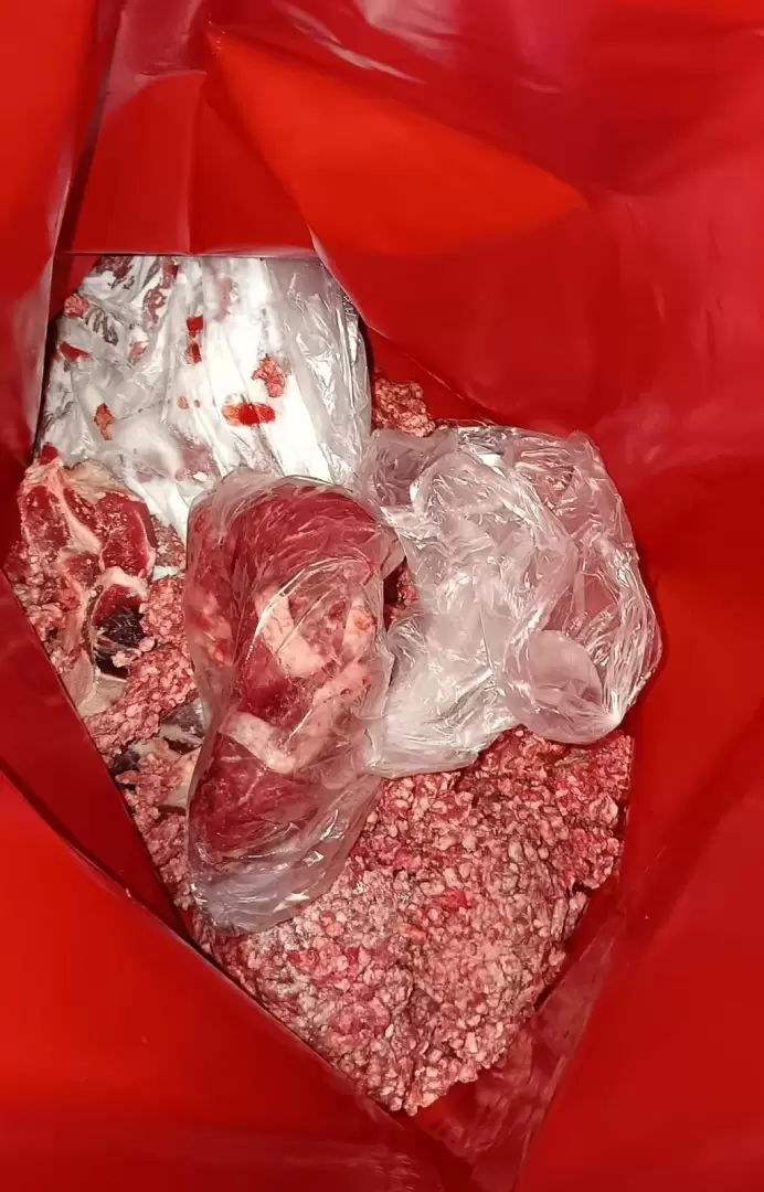 carne mal estado