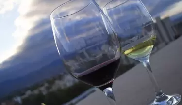 vino