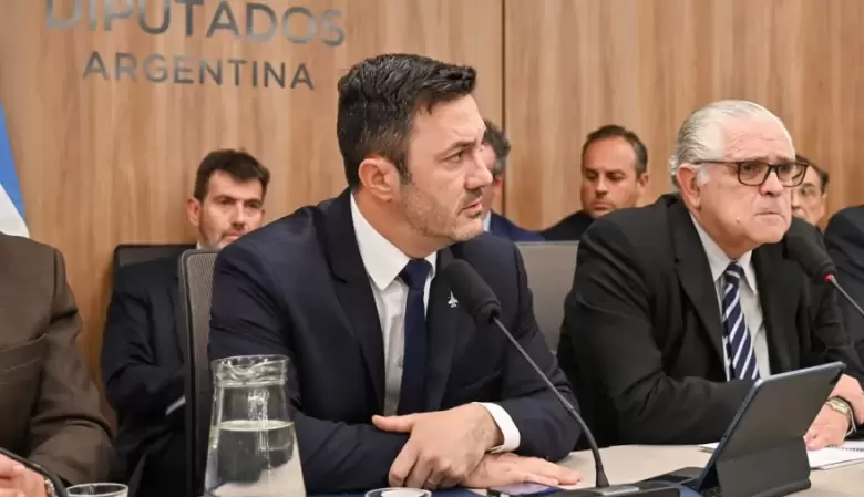 luis petri