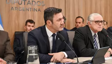 luis petri