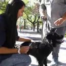 Controles, RCP y vacunas para mascotas: la propuesta integral de Guaymall�n este s�bado