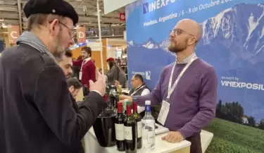vino