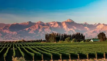Escapadas de invierno: ocho lugares de Mendoza para descansar y disfrutar