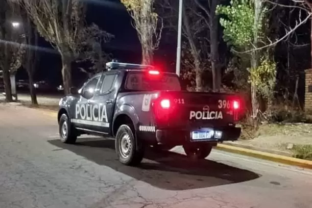 Robo en Vista Flores