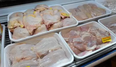 pollo