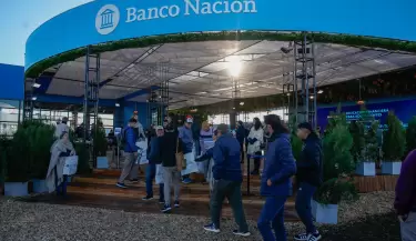 banco nacion agroactiva