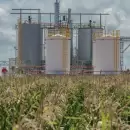 Junio lleg� con nuevos valores para el bioetanol: as� impactar�n en el mercado