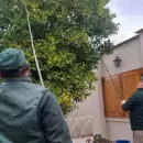 Cómo la cosecha de cítricos en invierno fortalece el control de plagas en Mendoza