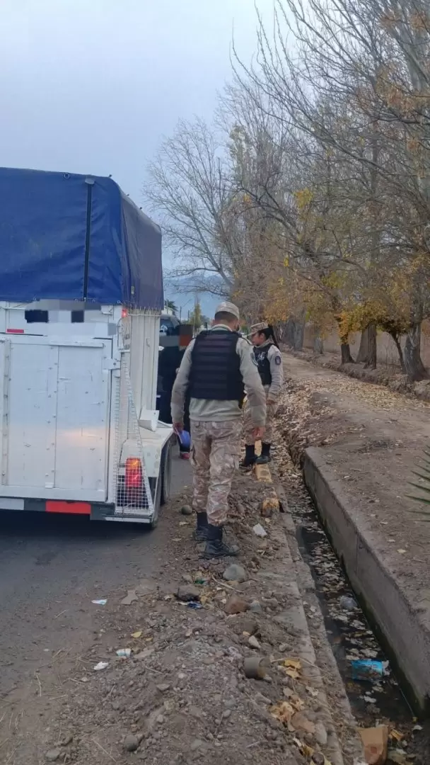 Operativos tráfico ilegal