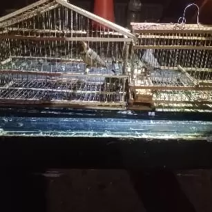 Operativos tráfico ilegal