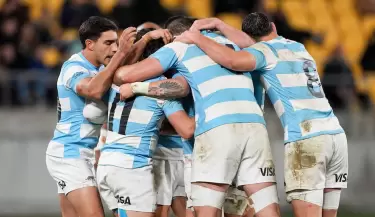 los pumas