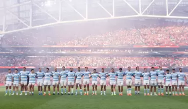los pumas