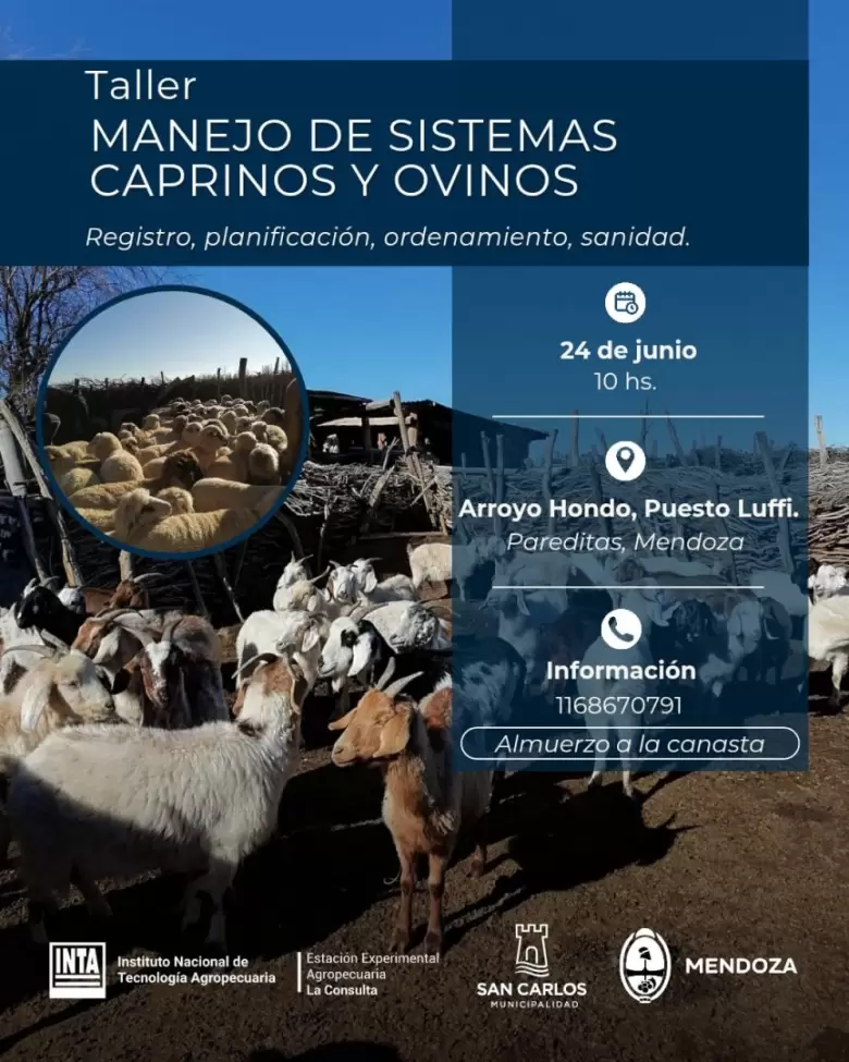 taller de manejo de caprinos