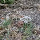 El d�a que encontr� al mu�eco fantasma y sobre lo que sucedi� despu�s