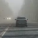 Atenci�n mendocinos: calor, viento Zonda y posibles tormentas en los pr�ximos d�as