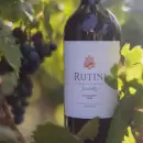 Un vino mendocino se impuso en un certamen global, entre más de 17.000 muestras