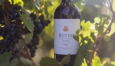 Vino mendocino
