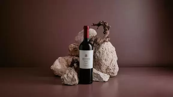 Vino mendocino